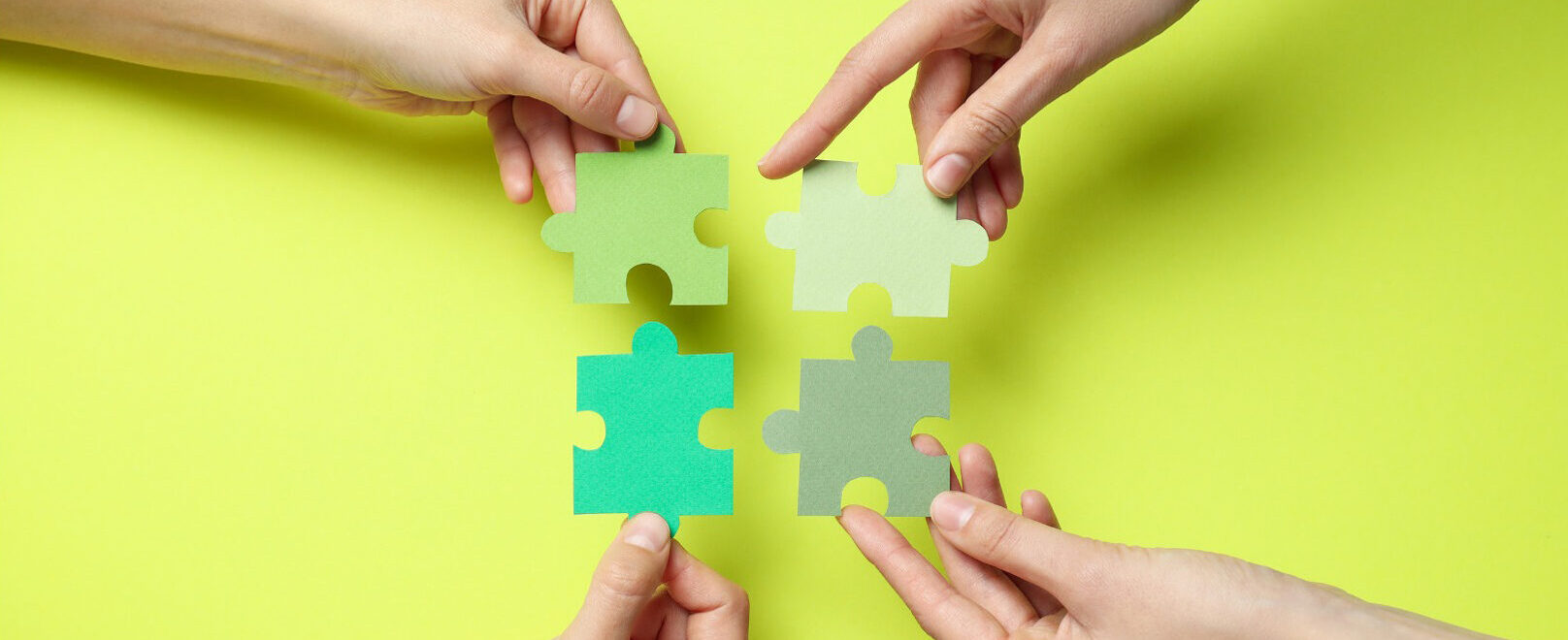 eaa-mainz-beratung-unternehmen-inklusion-behinderung