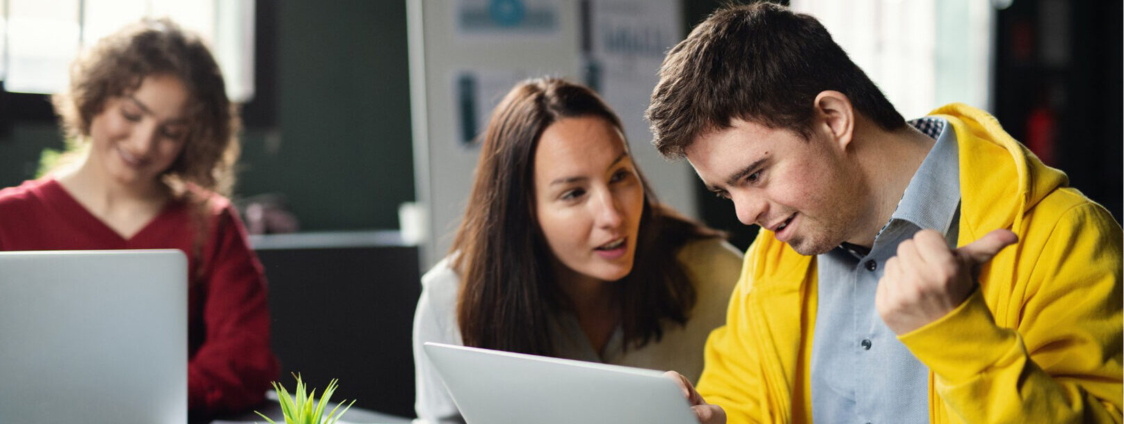 eaa-mainz-beratung-unternehmen-inklusion-behinderung